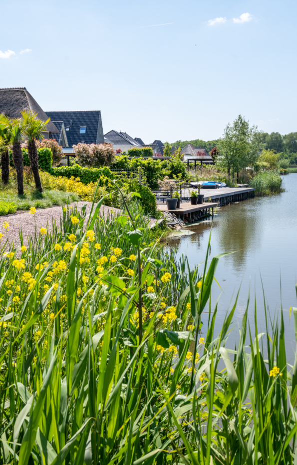 De-Buitenhof-Lelystad-CSF230112-363-scaled-aspect-ratio-595-930