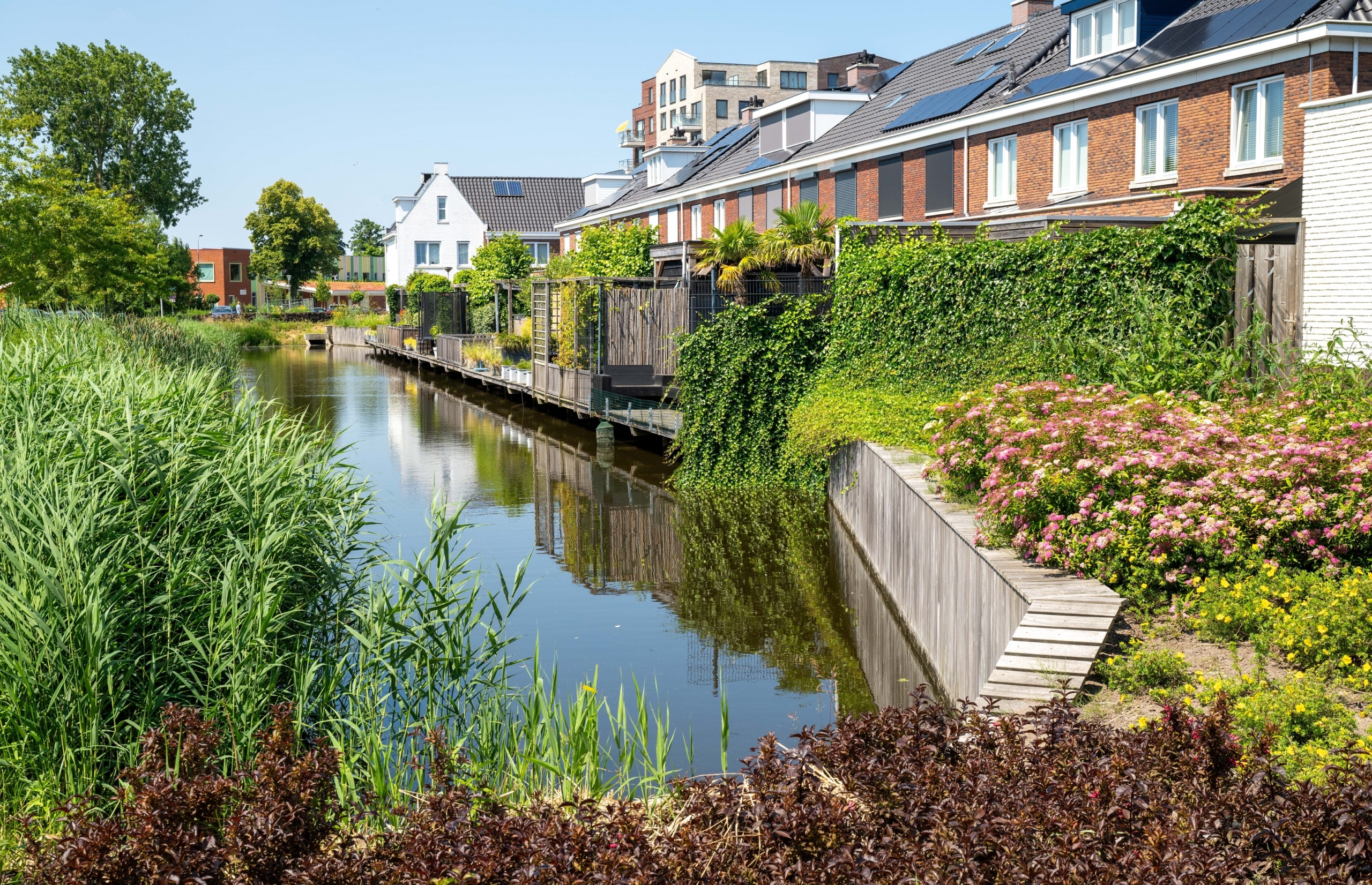 Plegt-Vos-Infra-Lisse-De-Waterkanten-CSF240126-189-1-scaled-aspect-ratio-1920-1240