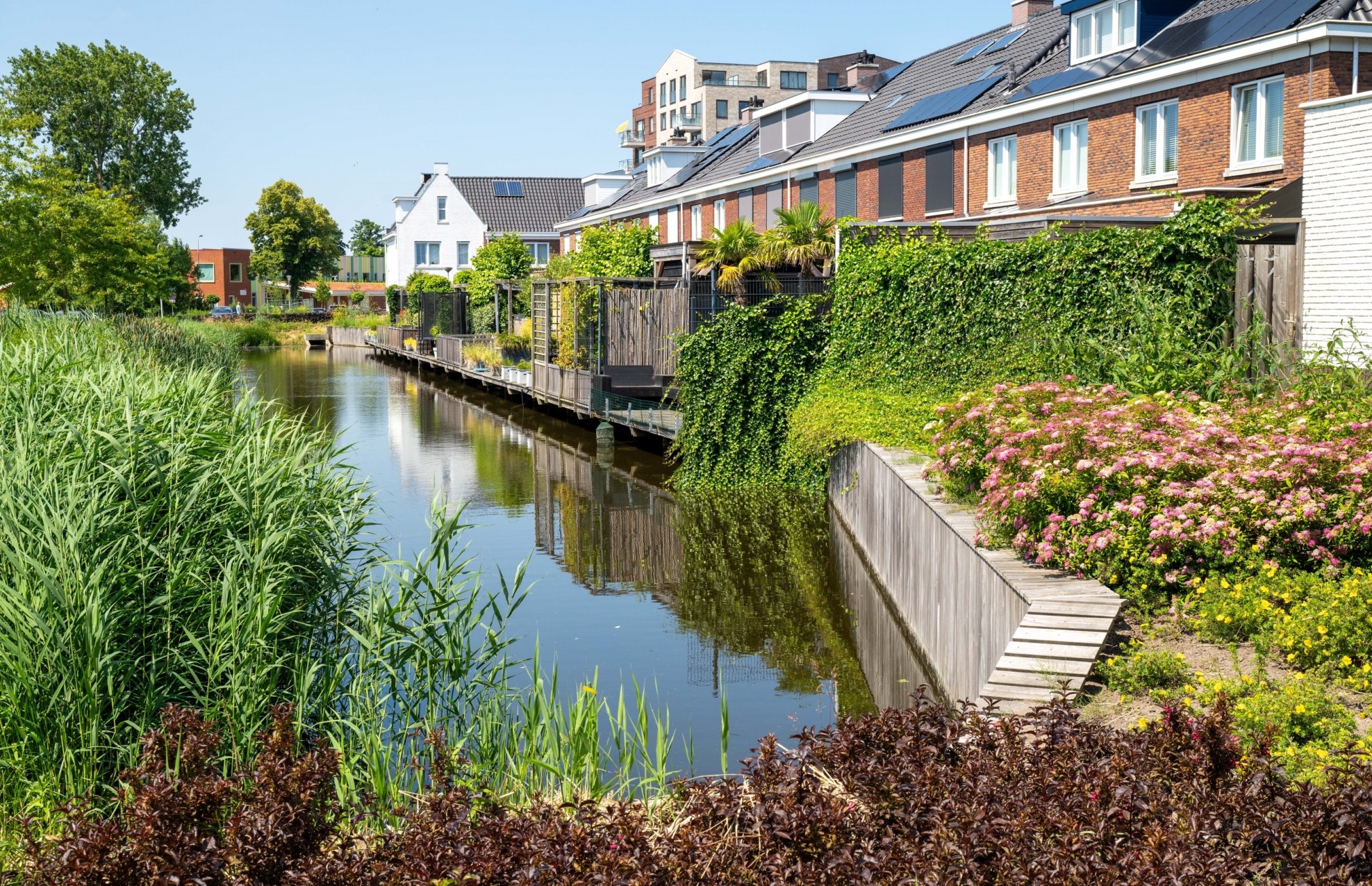 Plegt-Vos-Infra-Lisse-De-Waterkanten-CSF240126-189-scaled-aspect-ratio-1975-1275