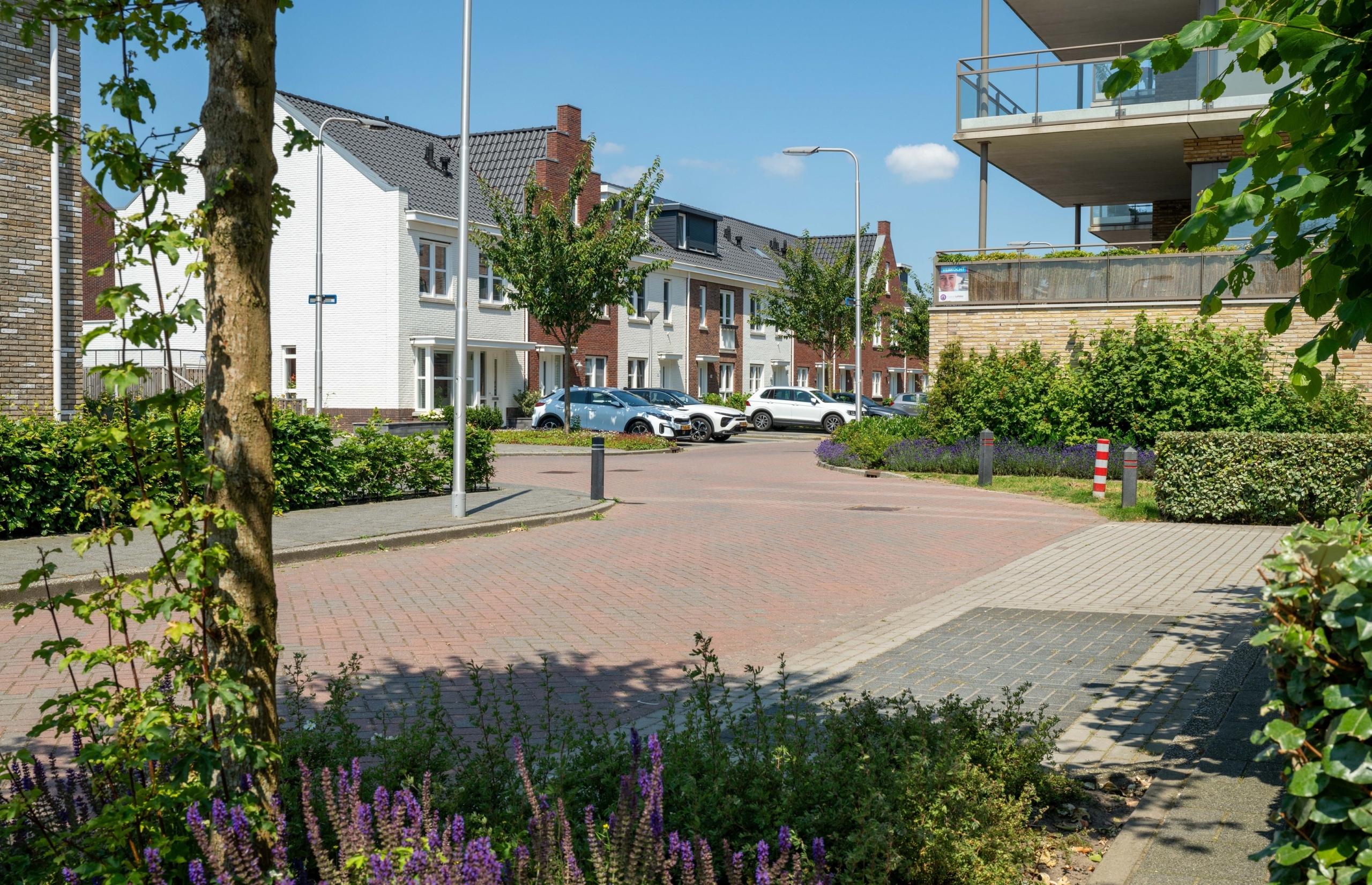 Plegt-Vos-Infra-Lisse-De-Waterkanten-CSF240126-214-scaled-aspect-ratio-1920-1240