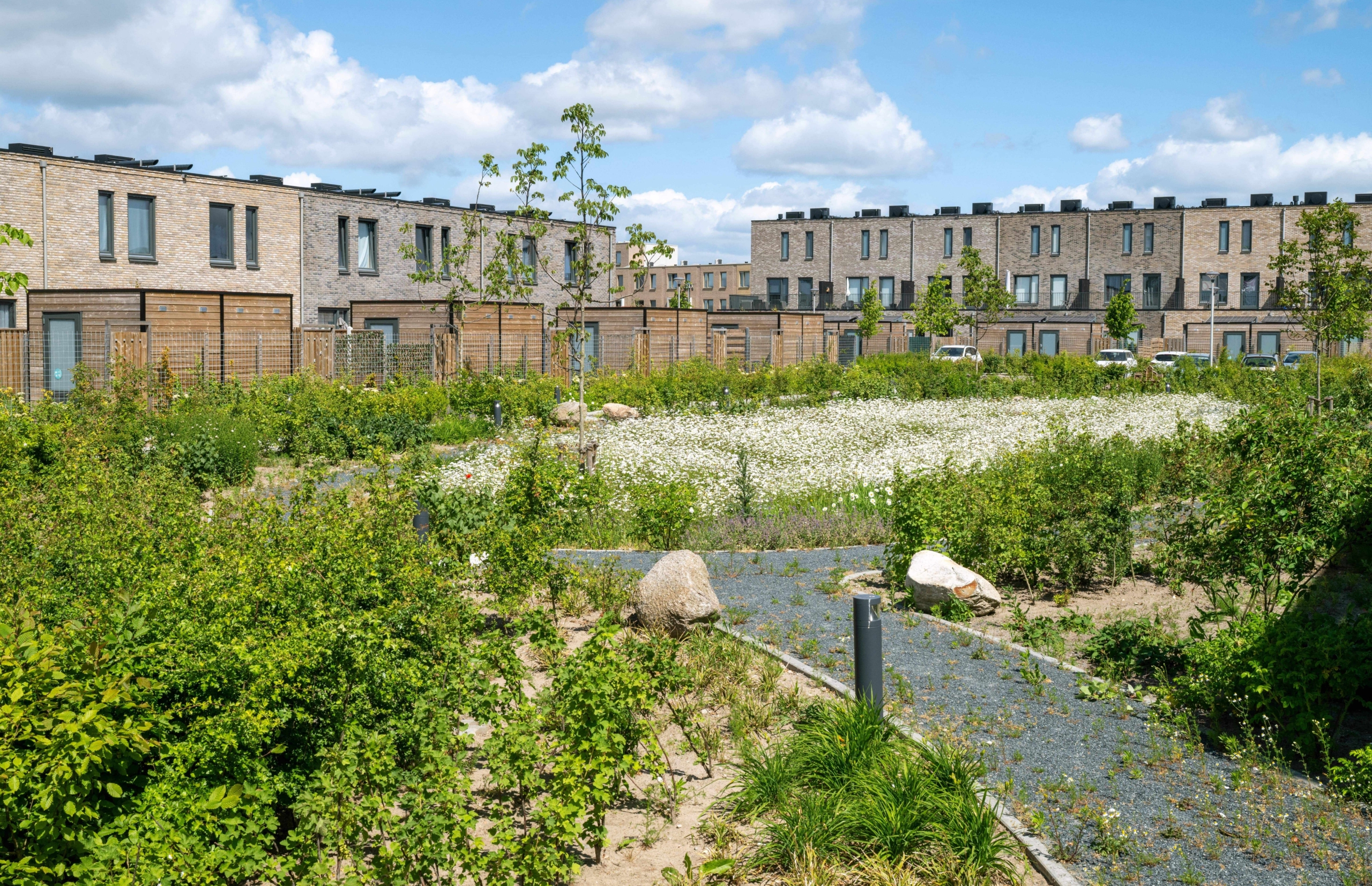 Zwolle-De-Tippe-Infra-Milieu-CSF250095-139-min-scaled-aspect-ratio-1920-1240