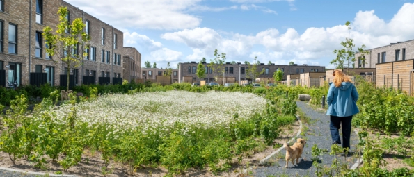 Zwolle-De-Tippe-Infra-Milieu-CSF250095-26-min-scaled-aspect-ratio-595-255