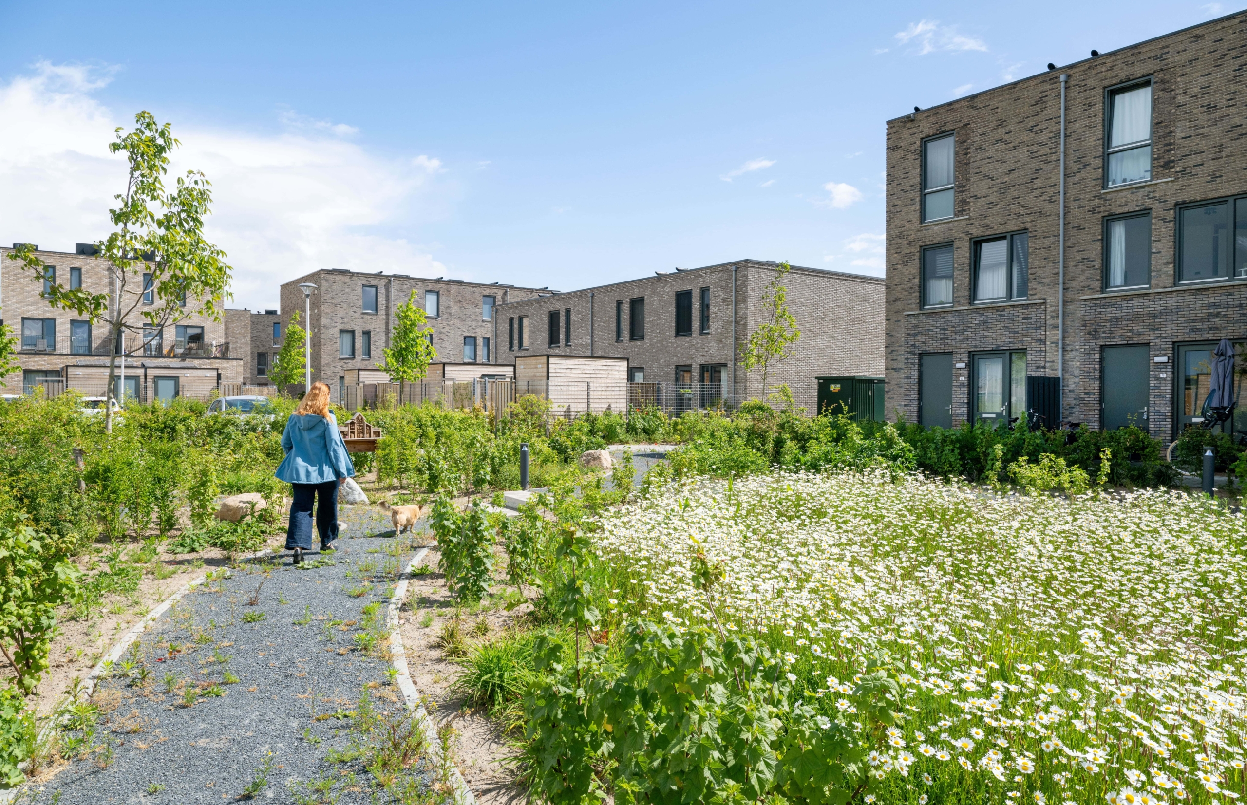 Zwolle-De-Tippe-Infra-Milieu-CSF250095-36-min-scaled-aspect-ratio-1920-1240